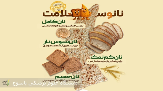 به-مناسبت-پویش-نان-و-سلامت؛-توصیه‌های-علمی-برای-نگهداری-نان-در-منزل