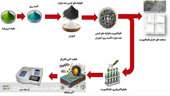 نانوکامپوزیت-سنتز-سبز؛-روشی-نوین-برای-مقابله-با-هلیکوپایلوری-مقاوم-به-آنتی-بیوتیک-