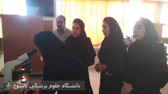 برگزاری-کارگاه-آموزشی-هماتومورفولوژی-در-دانشگاه-علوم-پزشکی-یاسوج-