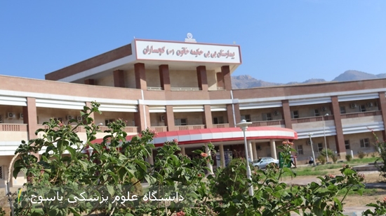 پیام-سرپرست-بیمارستان-بی-بی-حکیمه-خاتون-(س)-گچساران-به-مناسبت-روز-پرستار-