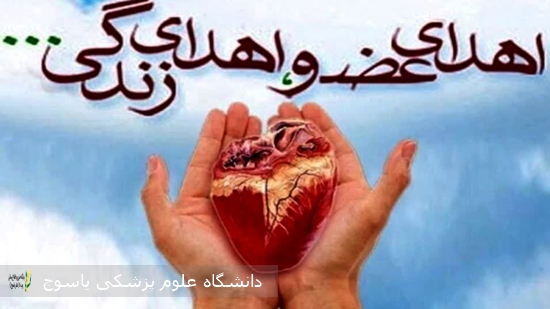 -اولین-ایثار-ماندگار-استان-کهگیلویه-و-بویراحمد-در-سال-۱۴۰۵