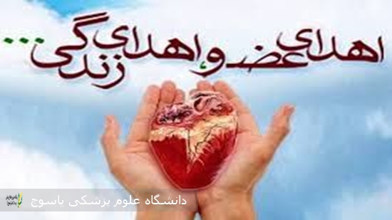 نهمین-اهدای-عضو-سال-۱۴۰۵-در-کهگیلویه-و-بویراحمد؛-جوان-۲۱-ساله-یاسوجی-به-بیماران-نیازمند-زندگی-دوباره-بخشید