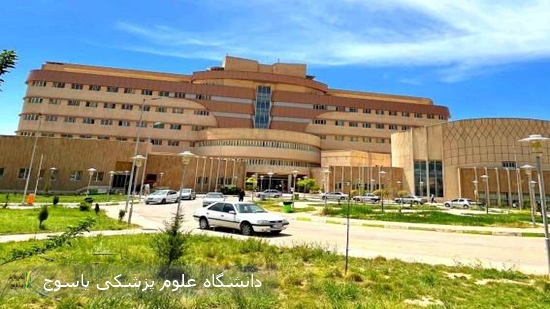 حمله-با-سلاح-سرد-به-پرسنل-حراست-بیمارستان-شهید-دکتر-جلیل-یاسوج؛-۴-نفر-مجروح-شدند