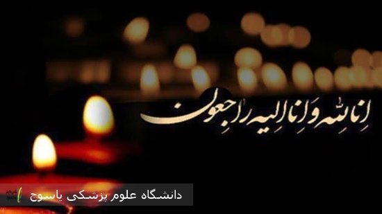 پیام-تسلیت-مدیر-شبکه-بهداشت-و-درمان-شهرستان-بهمئی-در-پی-درگذشت-برادر-سرکار-خانم-دکتر-زیرک‌-قشقایی