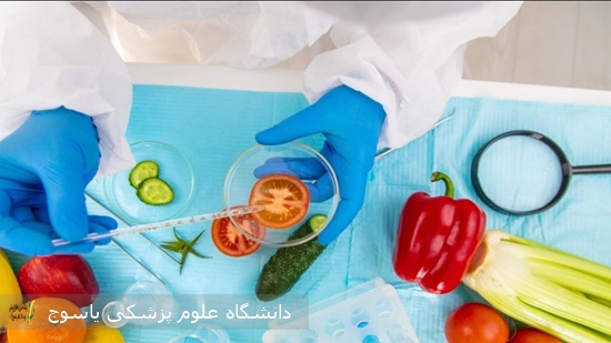 پیام-معاون-غذا-و-داروی-دانشگاه-علوم-پزشکی-یاسوج-به-مناسبت-روز-جهانی-ایمنی-غذا