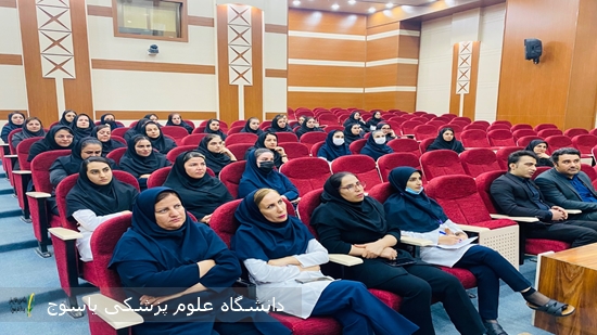 برگزاری-کارگاه-آموزشی-تشخیص-و-پیشگیری-از-خشونت-خانگی-در-بیمارستان-شهید-دکتر-جلیل