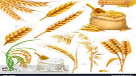 اهمیت-مصرف-غلات
