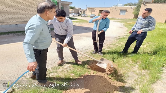 گزارش-تصویری-اجرای-برنامه-درختکاری-در-شبکه-بهداشت-و-درمان-بهمئی-به-مناسبت-روز-درختکاری