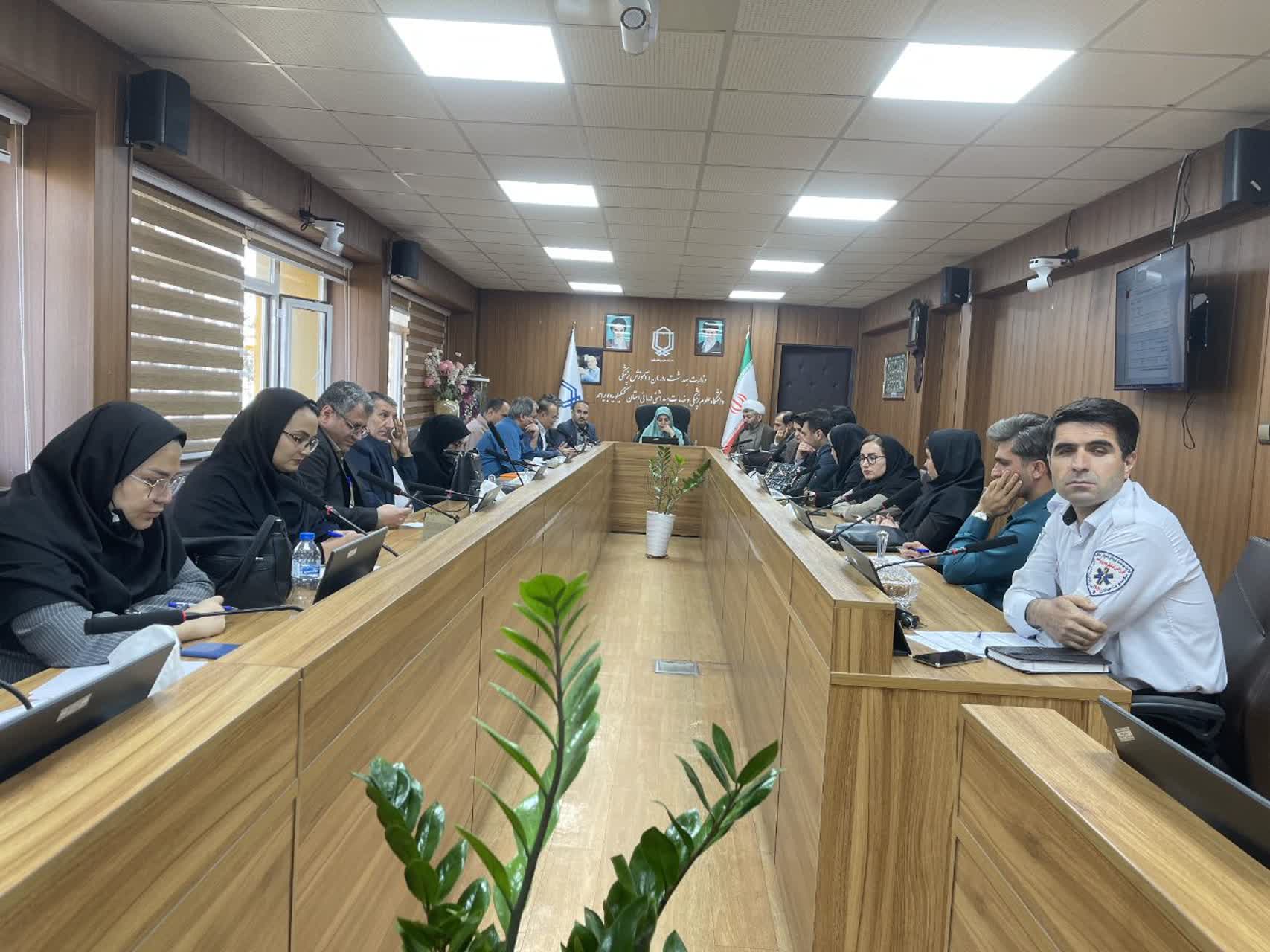  کمیته پیشگیری از مرگ مادران باردار با محوریت سلامت روان برگزار شد