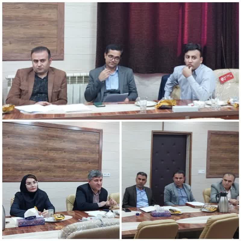 کمیته طرح‌های پژوهشی نظام سلامت (HSR) 