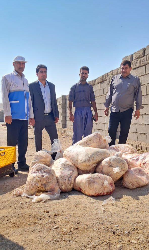 کشف و معدوم سازی بیش از نیم تن فرآورده های گوشت فاسد در دهدشت