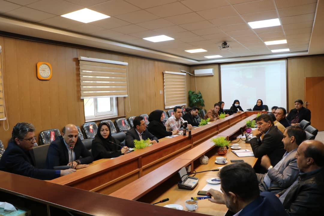  با حضور مدیران بیمه‌های پایه، وضعیت معوقات کادر پرستاری بررسی و راهکارهایی برای تسریع پرداخت ها  