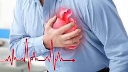 تغذیه مناسب برای پیشگیری از بیماری های قلبی عروقی