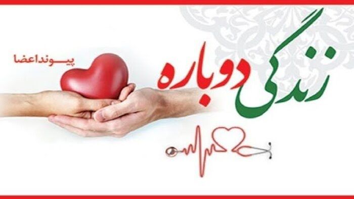 چهاردهمین ایثار ماندگار استان کهگیلویه و بویراحمد 