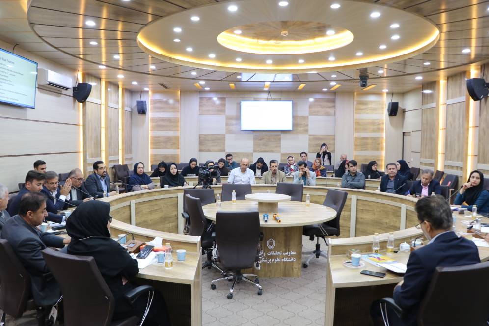 دکتر ملک‌زاده: پیشگیری از خودکشی نیازمند نظام ثبت یکپارچه و مداخله جدی در خانواده و جامعه است